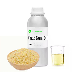Commercio all'ingrosso della fabbrica certificato di grano biologico germe olio di semi - Product Image 3