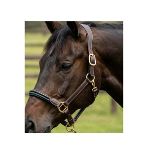 Stylish Equestrian Control <b>Halter</b> with Leather and Rope Durable Design Customizable Color & Logo High Quality QC - Product Image 3