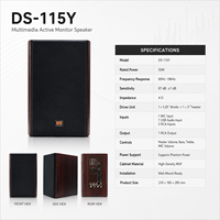 Sistema de PA DSZ DS-115Y de 50W para Metal con Woofer de Rango Completo de 4.5 Pulgadas para Educación Musical en el Aula