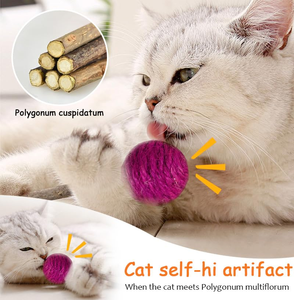 Jouet interactif pour chat : balle à griffer, corde en forme d'épée, accessoires pour animaux de compagnie, grandes balles de jeu pour chat, jouet à griffer pour chat - Product Image 2