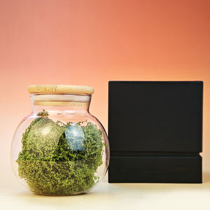 Pot en verre transparent exquis liège Micro paysage bouteille écologique Terrarium conteneur Aquarium veilleuse réservoir de poissons décor verre - Product Image 2