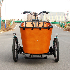 Vélo cargo à 3 roues pour adultes, famille, e-bike, vélo cargo électrique à 3 roues pour bébé, moteur 500W, absorption des chocs - Product Image 4