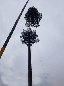 Torre de Telecomunicaciones de Acero Resistente al Viento, Simulación de Pino, Estructura de Rejilla Biónica, Superficie Galvanizada en Caliente - Product Image 5