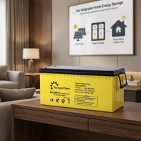 Batterie tubulaire onduleur 12V 220Ah pour système solaire domestique, TV, congélateur, cuisinière 12V 200Ah