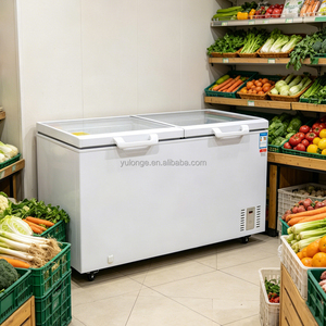 Équipement de réfrigération commercial YULONGE, congélateur coffre à double porte, ouverture par le haut, <span class=keywords><strong>grand</strong></span> <span class=keywords><strong>volume</strong></span> - Product Image 4