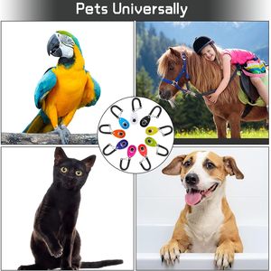 <span class=keywords><strong>Clicker</strong></span> de entrenamiento de mascotas, duradero, ligero, fácil de usar, para gatos, cachorros, perros, entrenamiento de perros, <span class=keywords><strong>Clicker</strong></span> con correa para la muñeca - Product Image 5