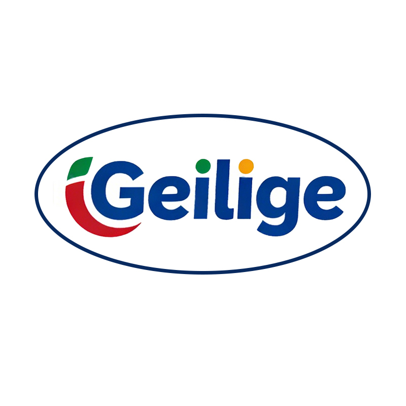 Guangzhou Geilige Auto Parts Co., Ltd. logo