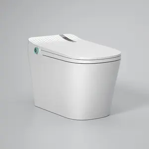 Toilette intelligente blanche connectée au plancher d'innovation de nouvelle conception pour personnalisé