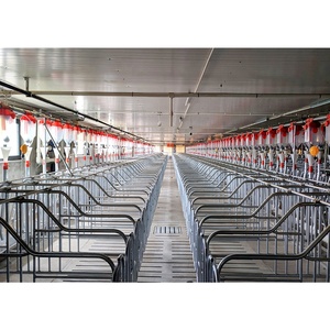 Cages de gestation pour truies et sangliers Stalle de mise bas Porc Maison unique Equipement de ferme porcine - Product Image 1