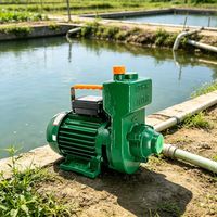High Pressure Water Pump Bare Pump Industrial Core Body,Booster Industrial Pipeline Pressurization, Centrifugal Basic Model