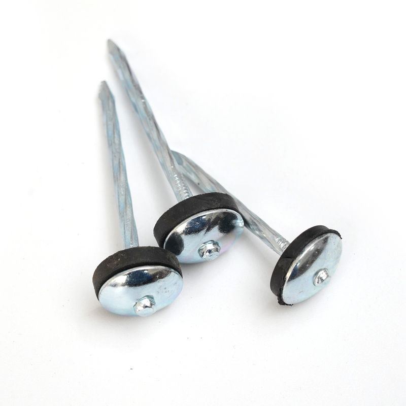 Construction Iron Nail 1 kg Per