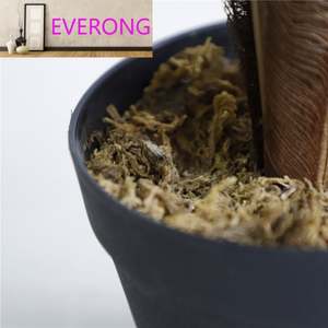 屋内タイプのエバーグリーン観賞用木人工植物 - Product Image 5