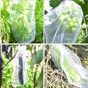 ถุงตาข่ายป้องกันแมลงสำหรับผลไม้สีเขียว ถุงคลุมต้นผลไม้พร้อมเชือกผูก - Product Image 6