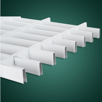 Grille de plafond en treillis de vigne combinée - Design moderne pour hôtels, appartements et supermarchés