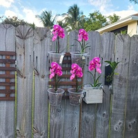 Pot transparent en plastique pour orchidées, avec trous de drainage respirants, idéal pour la culture hydroponique, récipient en filet transparent pour plantes, pots de jardin à fentes