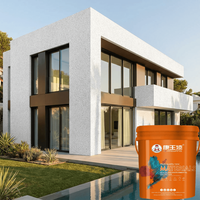 Revêtement mural en granit liquide premium eau-sable, finition texture pierre, peinture haute brillance imperméable pour propriétés commerciales