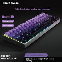 Customized Blue-switch Mechanical Keyboard 68 Keys Wired Portable Light Mixing for Office Work Gaming Side-printed Keycaps