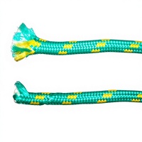 Cordon utilitaire tout usage robuste de 1/4 pouce, 3/8 pouce, 90 pieds, 150 pieds, camping, artisanat, mât de drapeau, cordon tressé léger en nylon PP