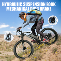 USA Stock 48V 13AH 500W gros pneu montagne neige suspension complète Ebike multi-mode écran LCD Sport pour adultes