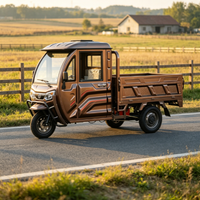 Tricycle de transport de bétail pour le transport de marchandises avec certificat EEC COC CE, moteur 1500w, polyvalent et adaptable à divers scénarios européens