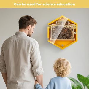 Kit de inicio de <span class=keywords><strong>colmena</strong></span> de observación de apicultura <span class=keywords><strong>Colmena</strong></span> de abeja hexagonal montada en la pared - Product Image 2