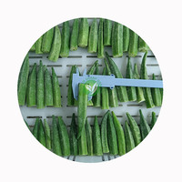 Okra surgelée de qualité supérieure XMSD, coupée, qualité export, pour la restauration, vente en gros, certifiée HACCP et BRC, approvisionnement OEM