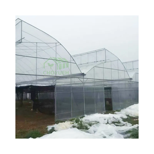 CHOYUEH heißer Verkauf Professional Design Intelligent Control Gewächshaus Multi Span Gewächshaus - Product Image 1