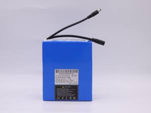 22.2v 24v 25.2v 25.9v Flexible Lithium Cell <strong>Li</strong>-<strong>ion</strong> <strong>Battery</strong> <strong>Pack</strong> 20ah 25ah 27ah 28ah 30Ah Rechargeable Power <strong>Li</strong>-<strong>ion</strong> <strong>Li</strong> <strong>Batteries</strong> - Product Image 5