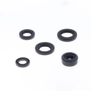 Kit de juntas de aceite - Product Image 1