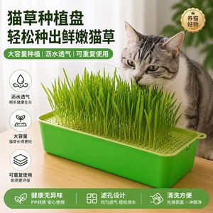 Hydroponic cat grass package, cat grass seeds, cat treats, lazy person <b>potted</b> <b>plant</b>, hairball remover, natural cat grass, cat - Product Image 3