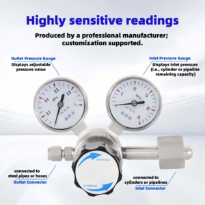 Valvola di Riduzione della Pressione dell'Aria ad Alta Pressione con Doppio Manometro per Laboratorio, Regolatore di <span class=keywords><strong>Gas</strong></span> ad Alta Pressione in Acciaio Inox 316 - Product Image 2