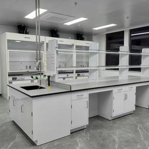 Estación de Trabajo Modular para Equipos de Laboratorio, Muebles de Laboratorio Personalizados, Mesa de Pruebas, Banco de Laboratorio de Acero con Accesorios - Product Image 2