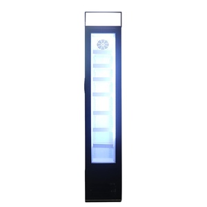 Congélateur vertical commercial OEM SD105L 105L avec porte vitrée, mince, à température unique, pour présentation de glaces, réfrigérant R290 -25°C - Product Image 1