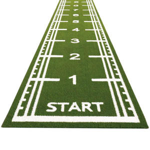 Tapis de sol en gazon artificiel Wan Chen 10 cm, motif gazon, antibactérien, pour fitness - Product Image 2