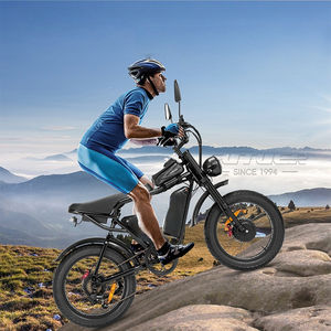 Vélo électrique tout-terrain Ridstar Q20 Pro 52V 40Ah à double moteur et double batterie, longue autonomie, pneus larges, pour adultes - Product Image 6