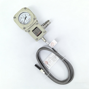 WTY-205 Gasdruck-Thermometer mit Analoganzeige, Heißwiderstandssignal-Ausgang, Nanyang Huaye Zhang Heng - Product Image 1