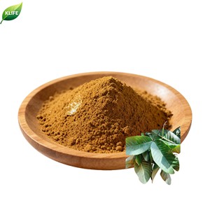 KLIFE高品質グァバ葉エキス粉末 - Product Image 2