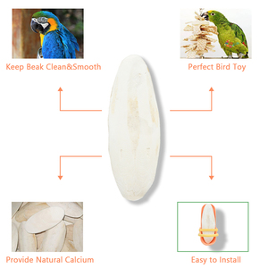 Os de seiche de qualité supérieure pour la santé des oiseaux en gros pour les distributeurs, os de seiche pour les oiseaux Options d'emballage personnalisables - Product Image 6