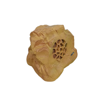Haut-parleur de jardin étanche 30W pour extérieur, système de sonorisation pour parc, hôtel, communauté, système de diffusion publique