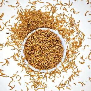 מזון חם למכירה, איכותי, בכמויות גדולות, טבעי לחיות מחמד, עשיר בחלבון, חרקי קמח מיובשים לאוגרים, זוחלים וציפורים - Product Image 3