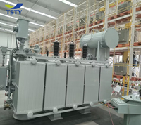 Transformador de Aceite Trifásico de Alta Eficiencia TSTY, 33kV 5MVA, Bobinado de Cobre, Arabia Saudita