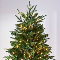 Usine directe hybride arbre de Noël Spot écologique PE cryptage lumineux ignifuge debout décorations pour la maison