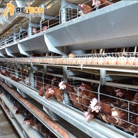 Poulailler automatique pour poules pondeuses de type H en acier galvanisé