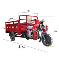 Moto à essence 200CC Tricycle cargo à trois roues Boîte de vitesses automatique Moto cargo