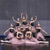 Nouvelle Robe Tutu Longue Bleue Romantique Professionnelle avec Bretelles pour Costumes de Danse de Ballet pour Enfants et Tenues de Spectacle