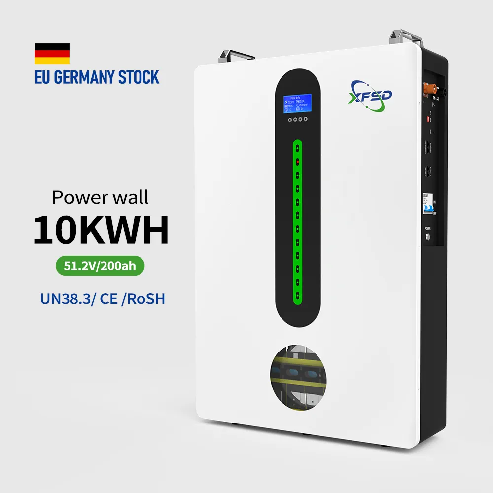 Inversor de batería de litio 48V 51,2 V 200Ah 5.12Kwh 10.24Kwh Lifepo4 Power sistemas de energía solar domésticos montados en la pared