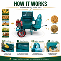 Machine agricole professionnelle, mini-décortiqueuse de riz, décortiqueuse à moteur essence, machine à égrener et à décortiquer le maïs
