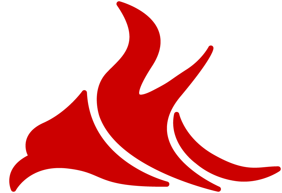 Jinan Yile Digital Imaging Co., Ltd. logo