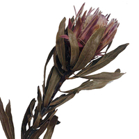 Roi a — fleurs naturelles séchées pour décoration de mariage, vente en gros, usine