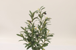 Arbre d'<span class=keywords><strong>olivier</strong></span> artificiel JWT3908, bonsaï de 60 cm, matériau PEVA/PE, aspect naturel, style nordique, décoration intérieure pour la maison et le bureau, décoration de mariage - Product Image 3